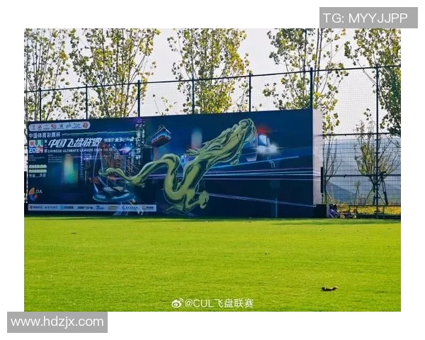 重庆飞盘队在全国街舞大赛中的华丽转型与成长之路探秘