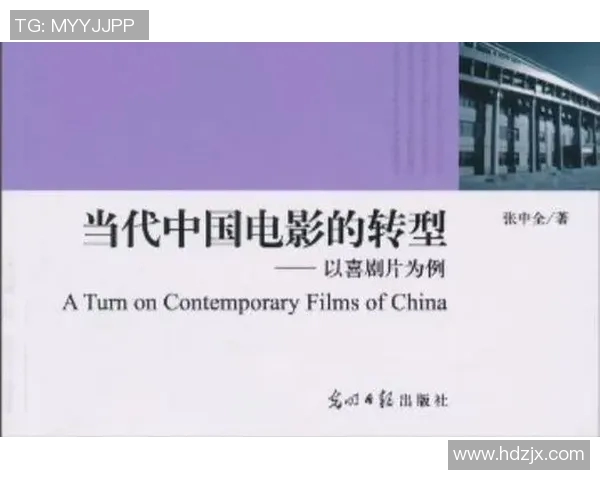 广州排球队战术解析与未来发展方向的深度探讨